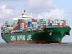 Container shipping group anticipate profit turnaround