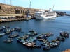 Cuatro cruceros arribarán este mes al puerto peruano de Matarani
