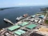 Puerto ecuatoriano de Bolívar se posiciona