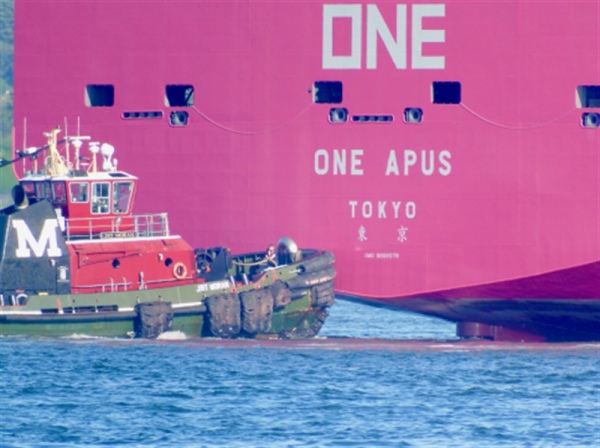 Buque One Apus Sufre Colapso De Contenedores Mientras Navegaba Rumbo Al Puerto De Long Beach Mundomaritimo