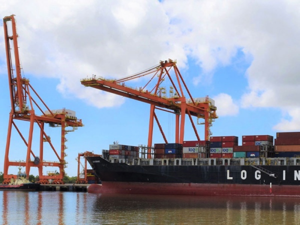 Puertos La Plata and Sud Dock could direct the total number of containers from Buenos Aires