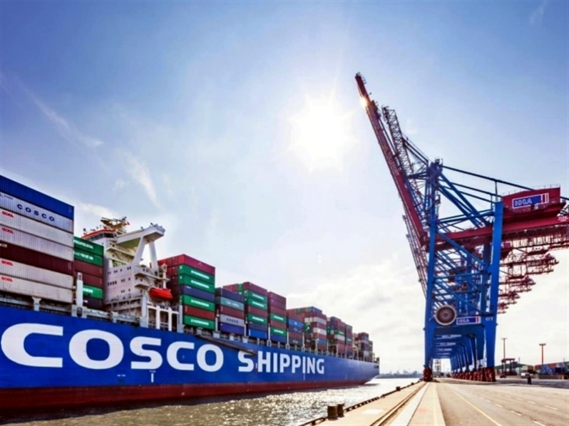 Cosco Shipping Ports adquirirá el 35% de las acciones de Terminal de  Contenedores Tollerort en el puerto de Hamburgo, Alemania - MundoMaritimo