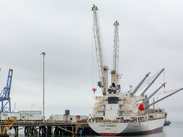 Puerto Coronel movilizará 20 mil contenedores refrigerados durante ...