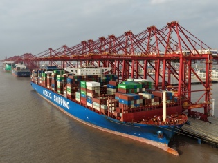 Sector portacontenedor: demanda global alcanza niveles récord y adelanto de embarques impulsa las tarifas